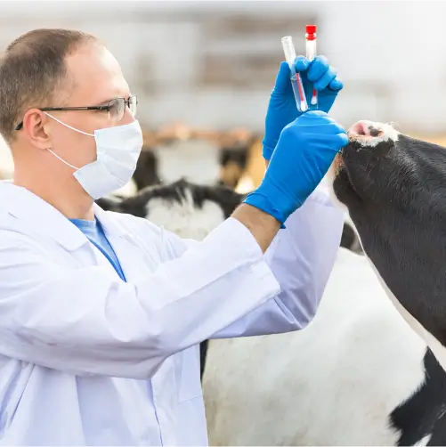 Epidemiologia Veterinária